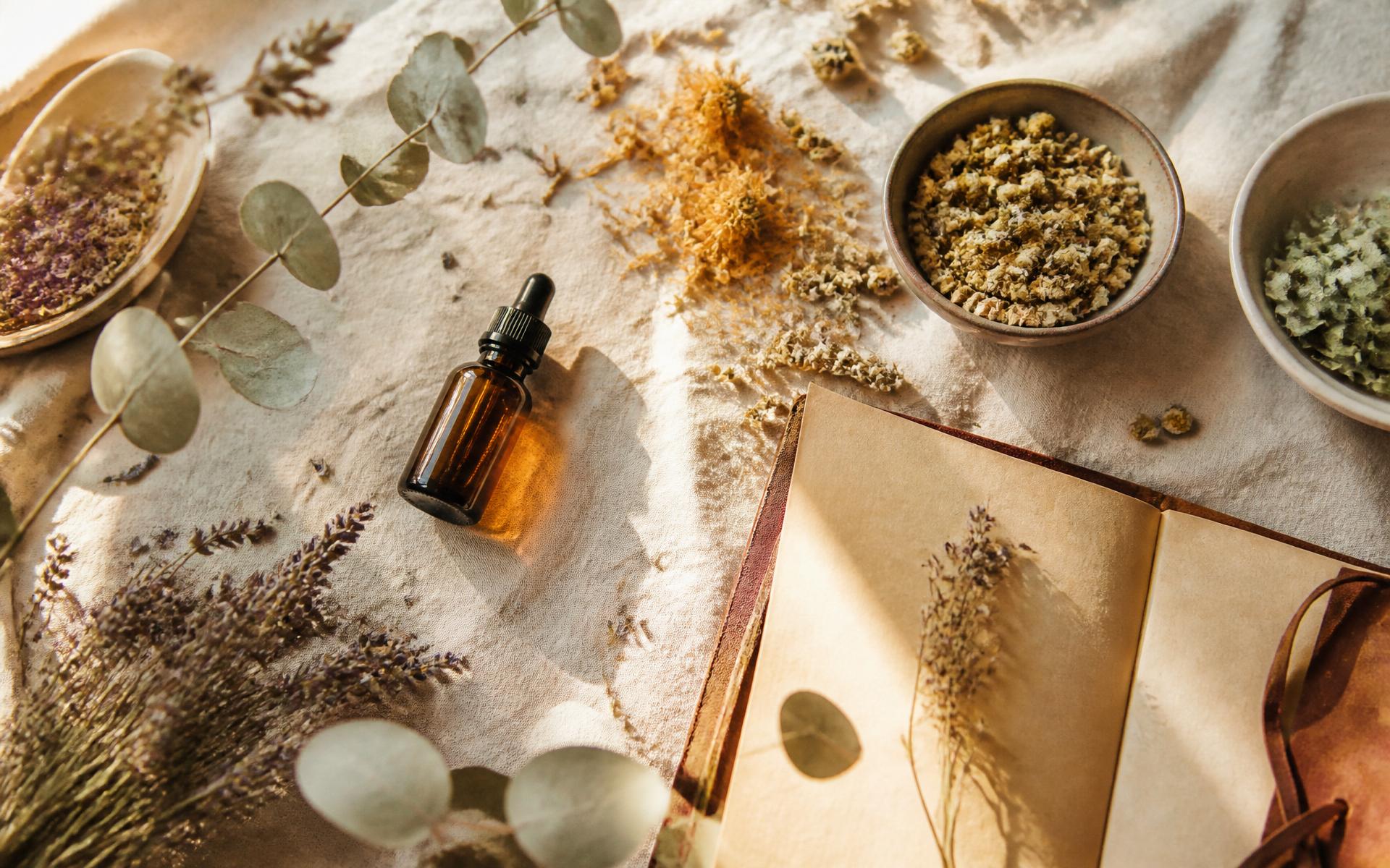 Dried herbs, amber tincture, and open journal in warm sunlight